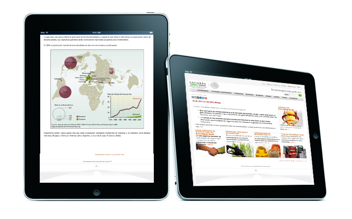 DEtalle del sitio web de biocombustibles en iPad